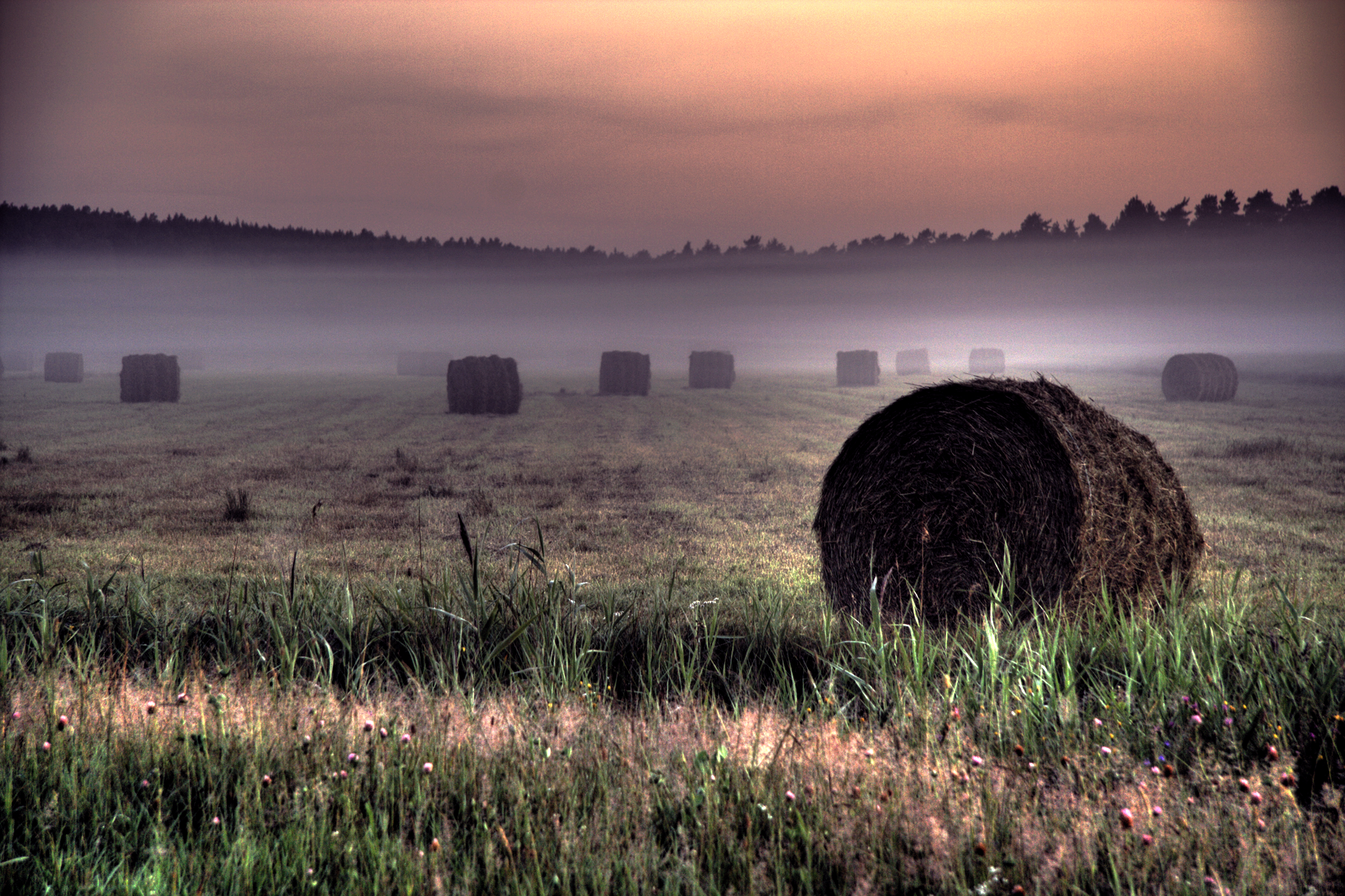 project Builder Images